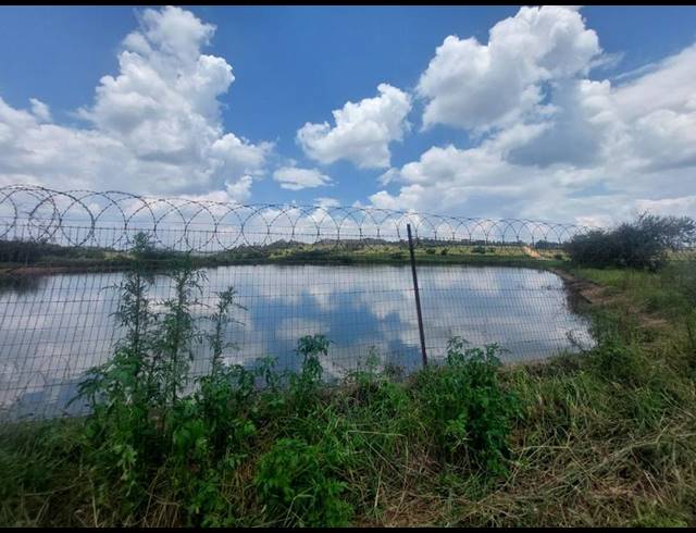 FARM FOR SALE IN WELTEVREDEN